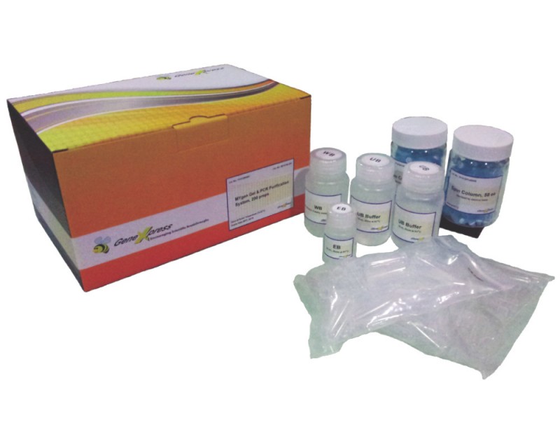 Mygene Gel & PCR Purification System